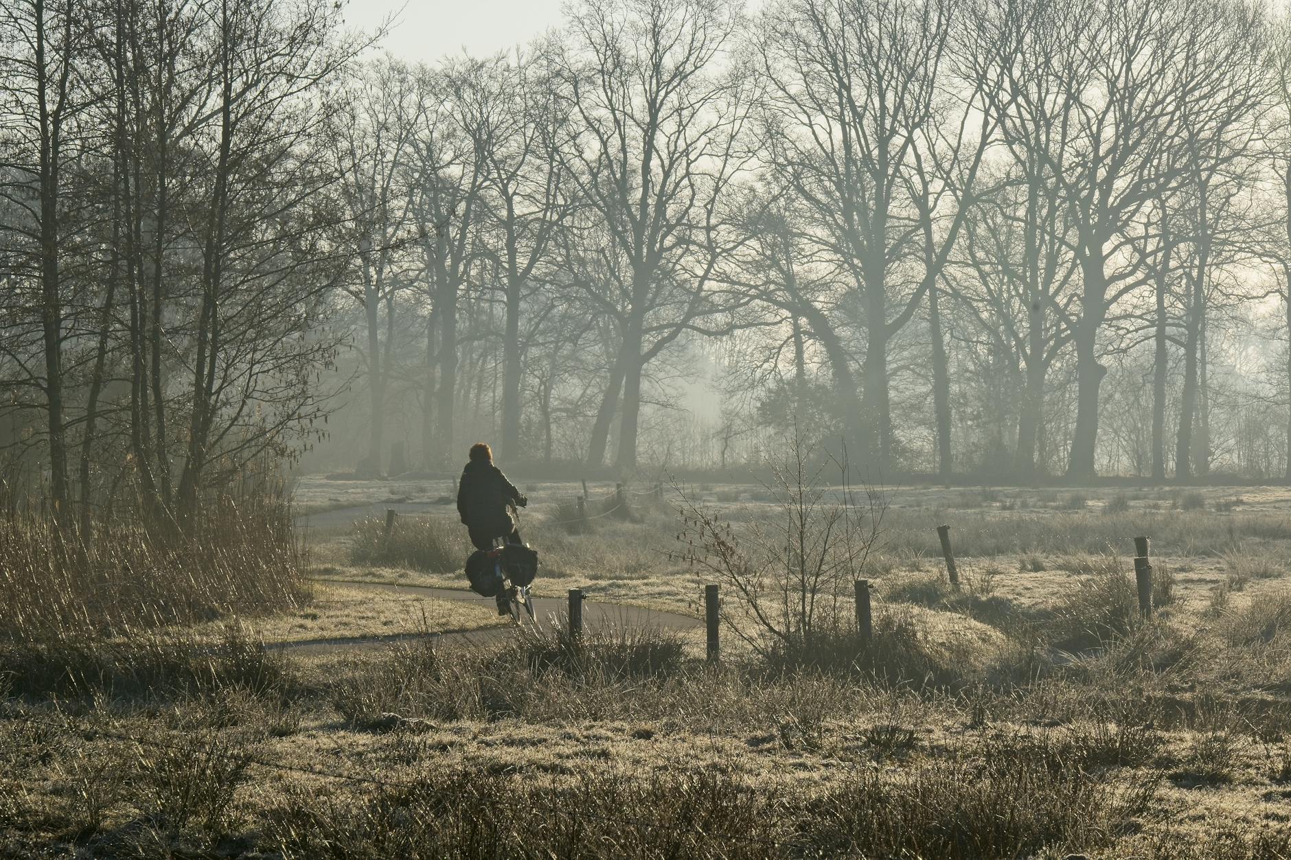 Rowerzysta jedzie we mgle przez jesienną holenderską wieś w Drenthe