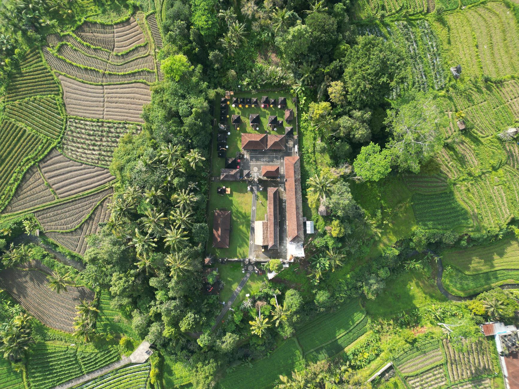 Ubud w pigułce: tarasy ryżowe, świątynie i małpie lasy Świątynia na Bali pośród zielonych tarasów ryżowych w okolicach Ubud