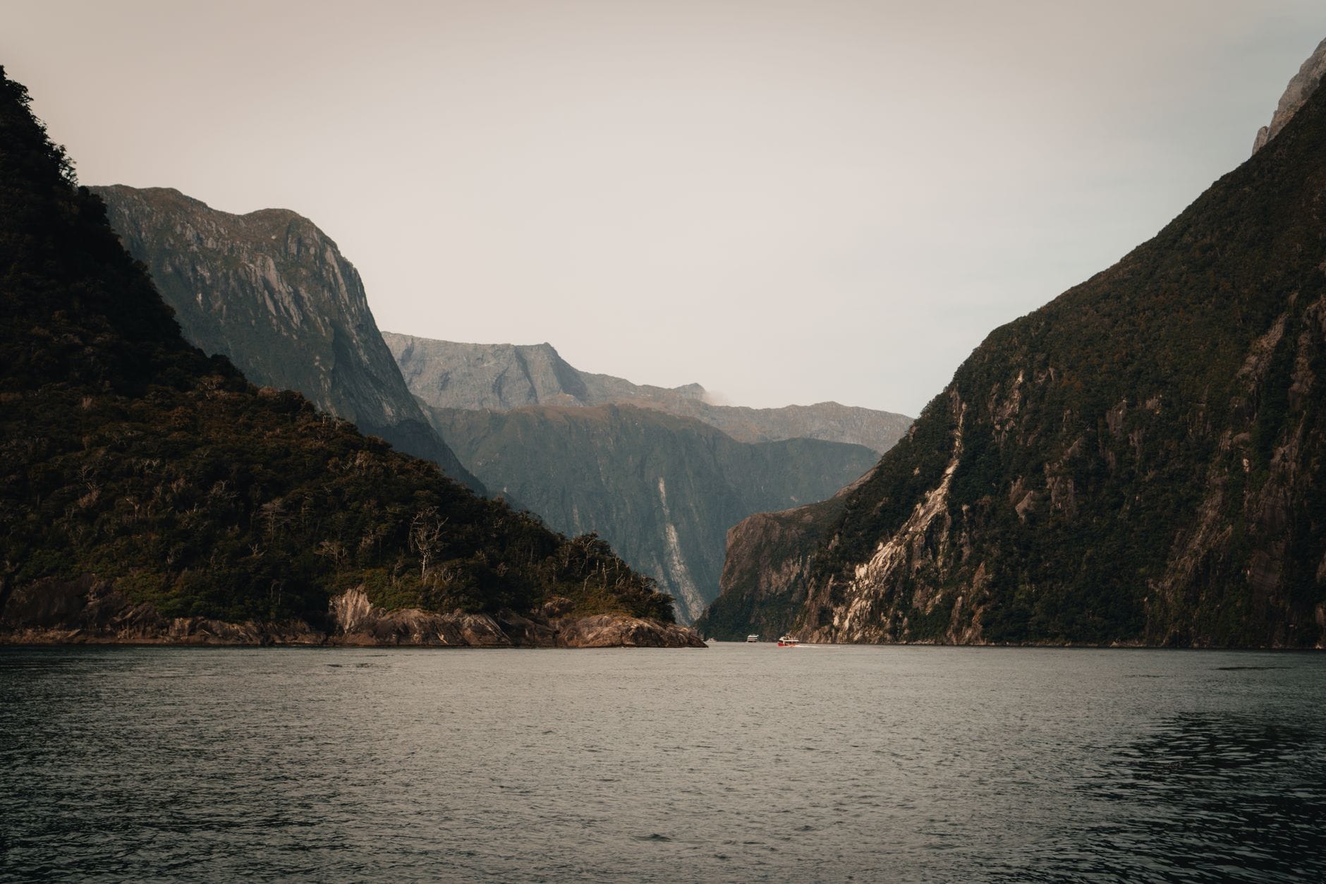 Spokojne wody fiordu Milford Sound otoczone stromymi klifami