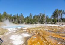 Yellowstone w 3 dni: plan trasy, gejzery i praktyczne porady dotyczące noclegów poza parkiem